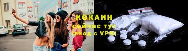 прущие грибы Богданович