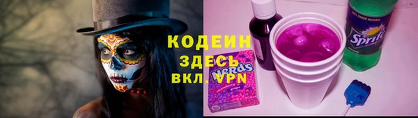 прущие грибы Богданович
