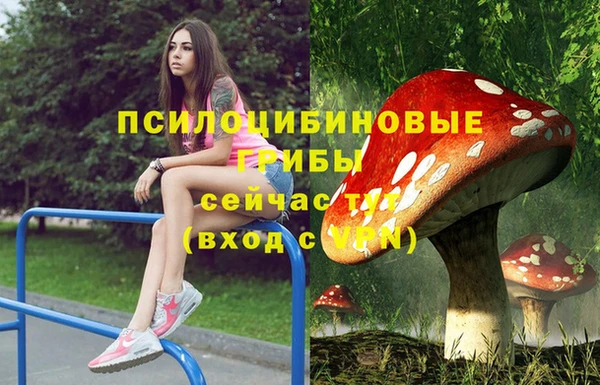 spice Белоозёрский