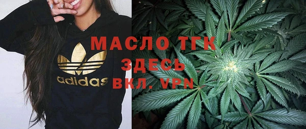 прущие грибы Богданович
