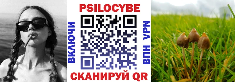 ссылка на мегу зеркало  Венёв  Псилоцибиновые грибы Psilocybine cubensis  сайты даркнета формула  дарнет шоп 