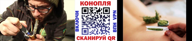 Конопля Ganja  Венёв 